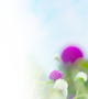 相続･贈与